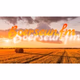 Boerseun Fm Logo