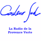 Radio Couleur Sud Logo