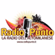 Radio Punto Logo