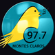Canarinho FM Montes Claros Logo