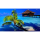 Miled Music - Tropical Logo
