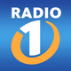 Radio 1 - Ribnica 89.8 Logo