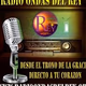 Radio Ondas del Rey Logo
