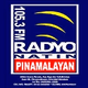 Radyo Natin Pinamalayan - DWMK Logo