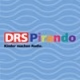 DRS Pirando Logo