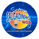 Rádio Salgadinho FM Logo