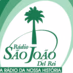 Radio Sao Joao Del Rei Logo
